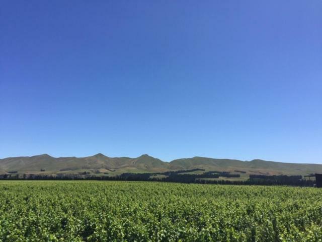 Waipara Romantic Vineyard Getaway מראה חיצוני תמונה