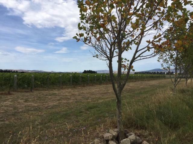 Waipara Romantic Vineyard Getaway מראה חיצוני תמונה